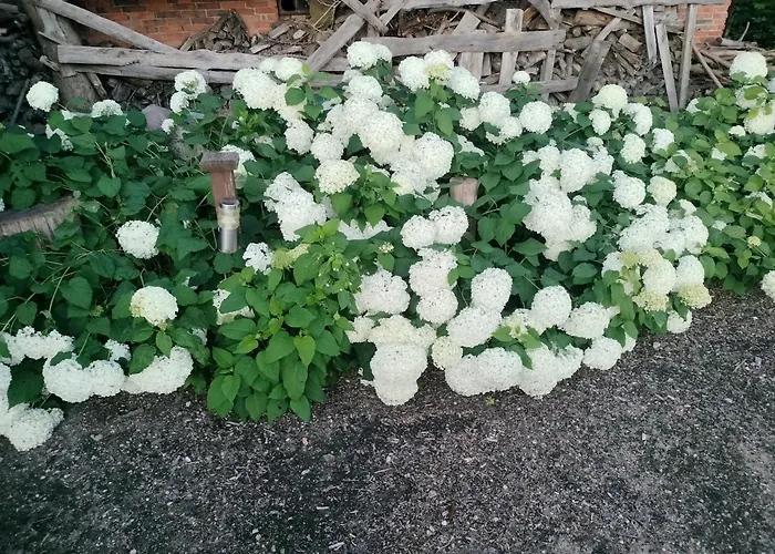 Ranczo Kajew Resort Goluchow